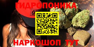 винт Будённовск
