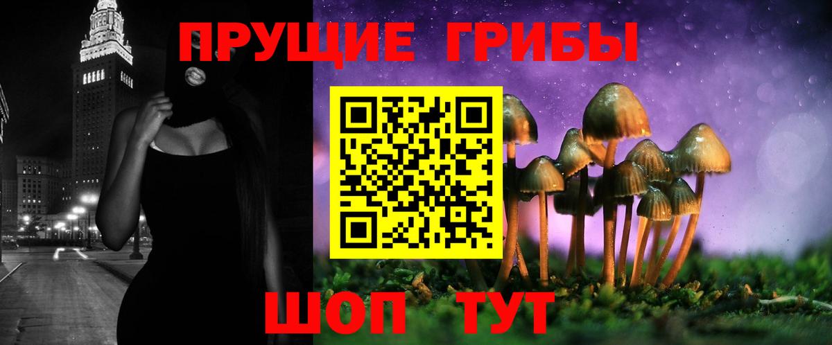 Псилоцибиновые грибы Cubensis  закладка  Лысьва  Вход с VPN 