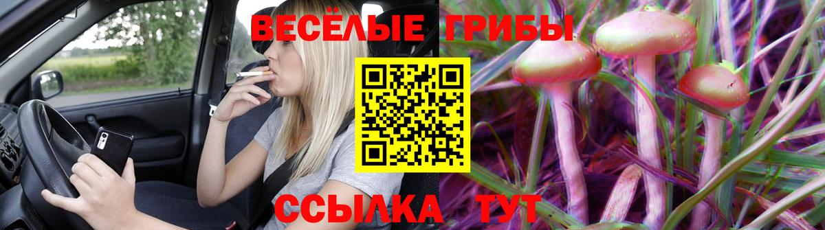 Галлюциногенные грибы Psilocybe Лысьва